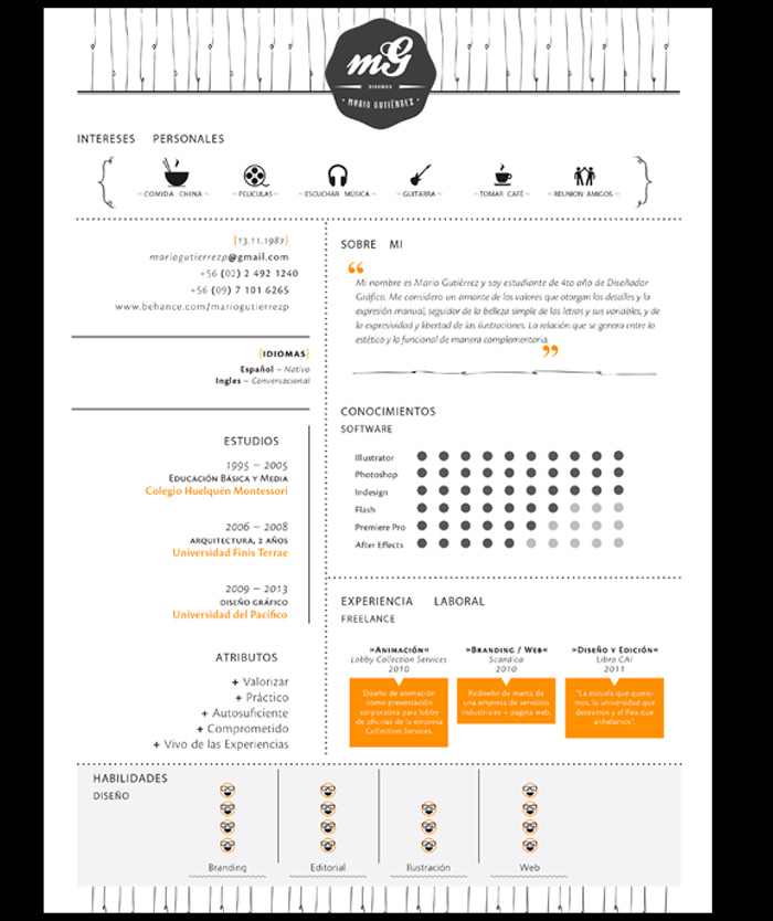 curriculum19 50 ejemplos de curriculums originales