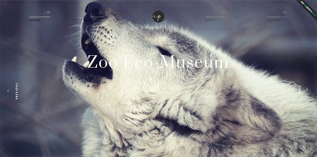 tendencia-web-imagenes-01
