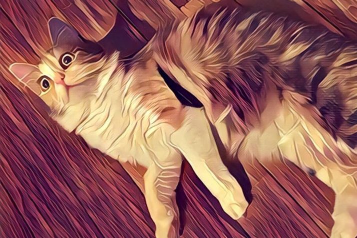 Apps para Instagram: Prisma